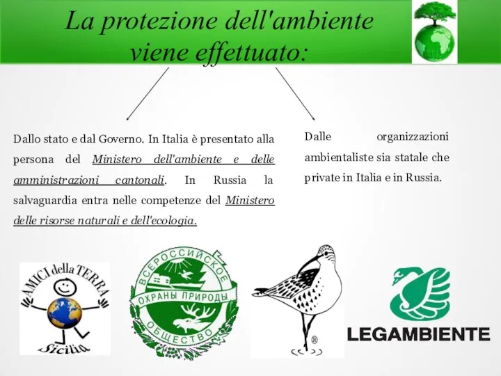 La protezione dell'ambiente viene effettuato: Dallo stato e dal Governo. In