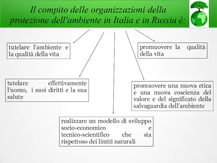 Il compito delle organizzazioni della protezione dell'ambiente in Italia e in