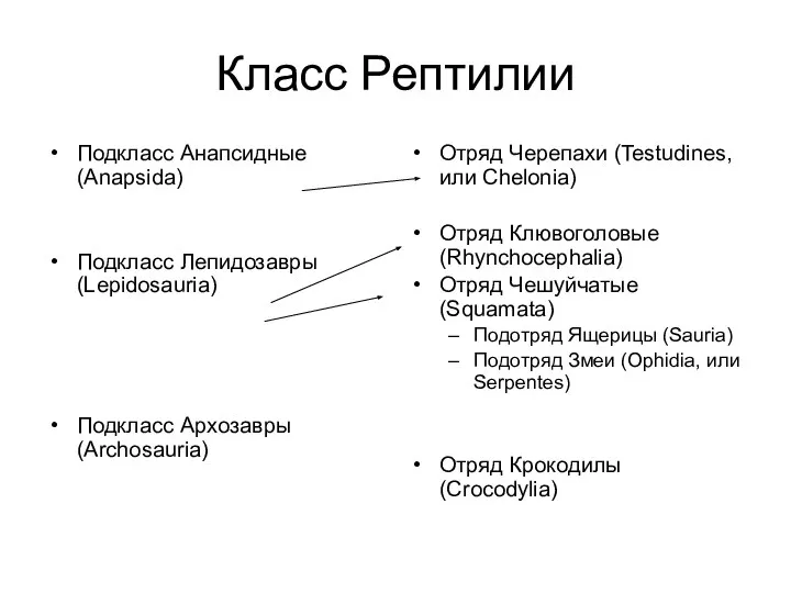 Класс Рептилии Подкласс Анапсидные (Anapsida) Подкласс Лепидозавры (Lepidosauria) Подкласс Архозавры (Archosauria)