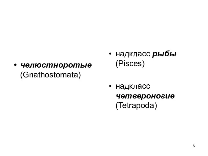 челюстноротые (Gnathostomata) надкласс рыбы (Pisces) надкласс четвероногие (Tetrapoda)