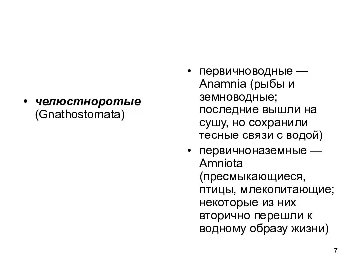 челюстноротые (Gnathostomata) первичноводные — Anamnia (рыбы и земноводные; последние вышли на