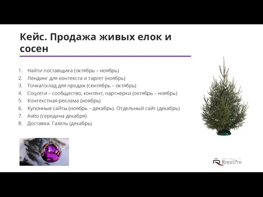 Кейс. Продажа живых елок и сосен Найти поставщика (октябрь – ноябрь)