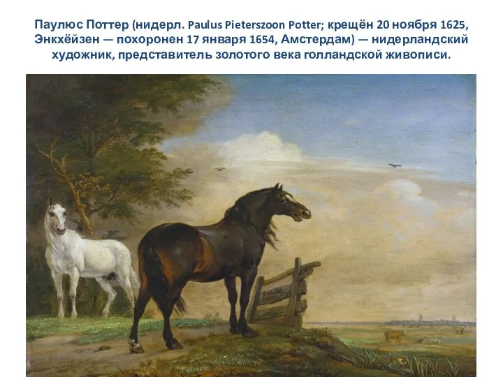 Паулюс Поттер (нидерл. Paulus Pieterszoon Potter; крещён 20 ноября 1625, Энкхёйзен