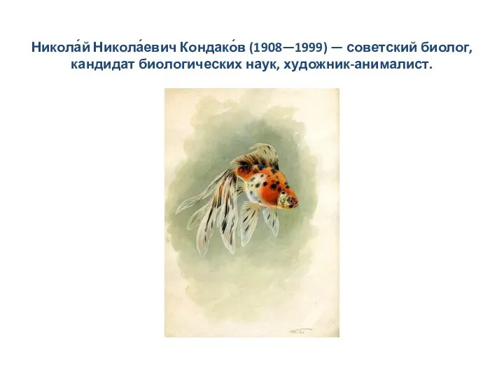 Никола́й Никола́евич Кондако́в (1908—1999) — советский биолог, кандидат биологических наук, художник-анималист.