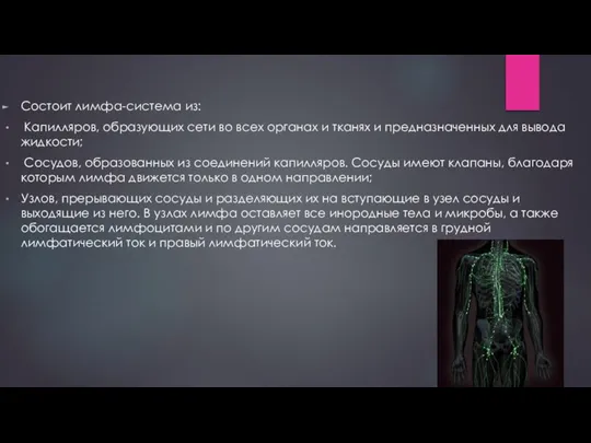 Состоит лимфа-система из: Капилляров, образующих сети во всех органах и тканях