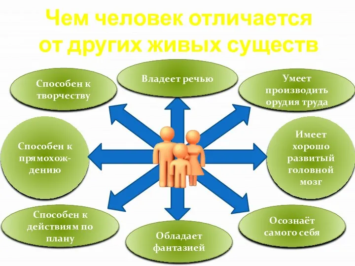 Имеет хорошо развитый головной мозг Способен к прямохож-дению Чем человек отличается