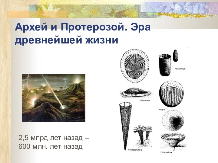 Архей и Протерозой. Эра древнейшей жизни 2,5 млрд лет назад – 600 млн. лет назад