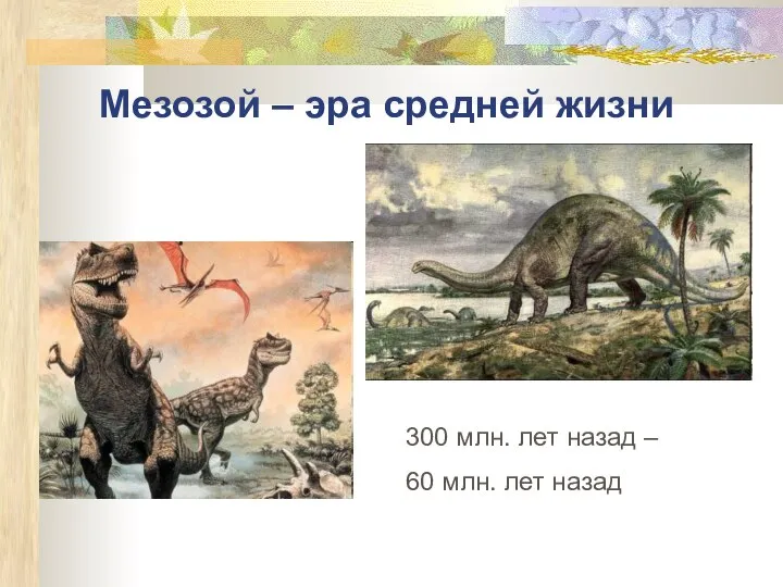 Мезозой – эра средней жизни 300 млн. лет назад – 60 млн. лет назад