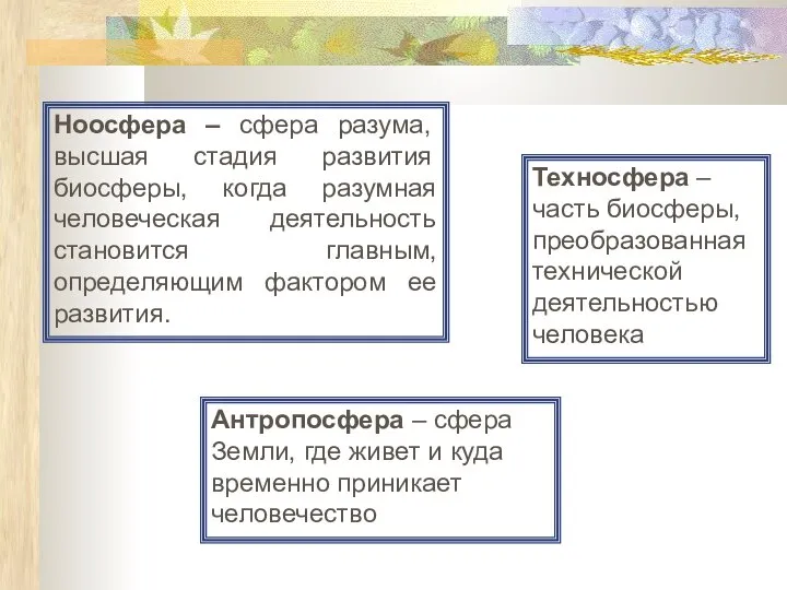 Ноосфера – сфера разума, высшая стадия развития биосферы, когда разумная человеческая