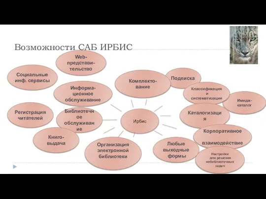 Имидж- каталог Возможности САБ ИРБИС Социальные инф. сервисы Web- представи- тельство