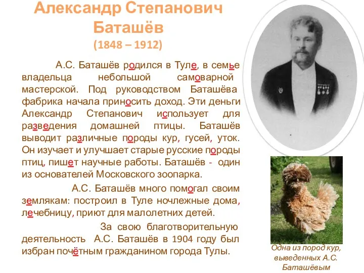 Александр Степанович Баташёв (1848 – 1912) А.С. Баташёв родился в Туле,