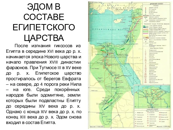 ЭДОМ В СОСТАВЕ ЕГИПЕТСКОГО ЦАРСТВА После изгнания гиксосов из Египта в