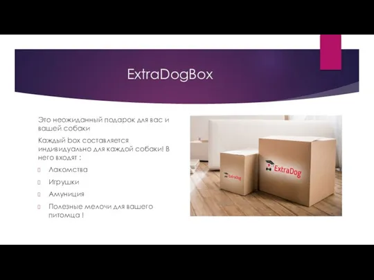 ExtraDogBox Это неожиданный подарок для вас и вашей собаки Каждый box