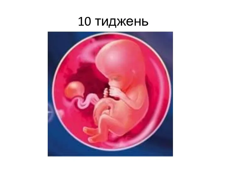 10 тиджень