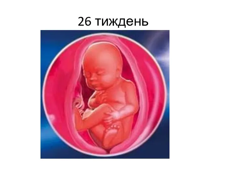 26 тиждень