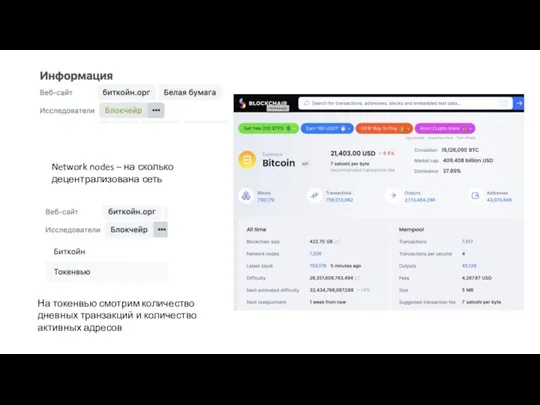 Network nodes – на сколько децентрализована сеть На токенвью смотрим количество