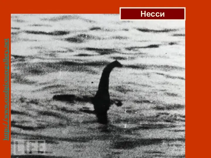 http://www.coolpicturegallery.net/2011/05/most-famous-fake-photos.html Несси