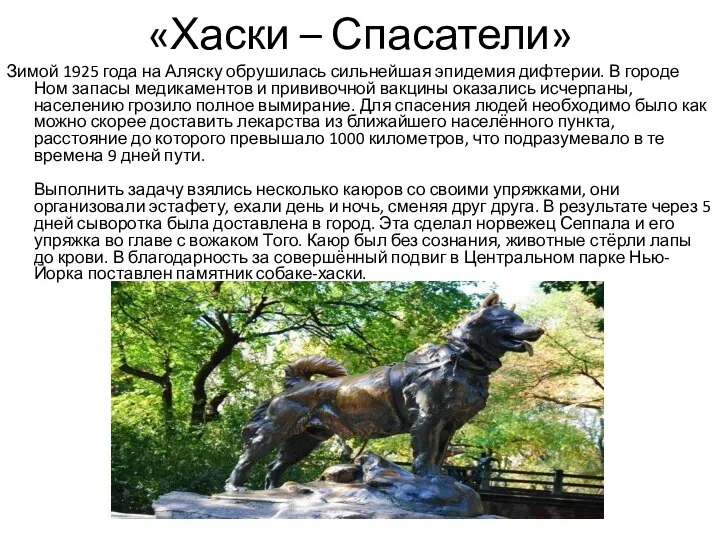 «Хаски – Спасатели» Зимой 1925 года на Аляску обрушилась сильнейшая эпидемия