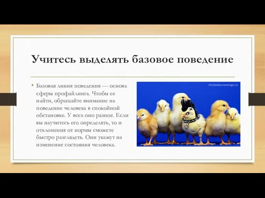 Учитесь выделять базовое поведение Базовая линия поведения — основа сферы профайлинга.