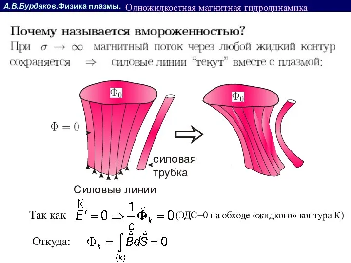 А.В.Бурдаков.Физика плазмы. Одножидкостная магнитная гидродинамика Силовые линии силовая трубка Так как