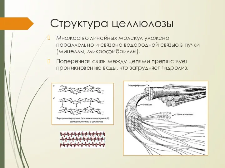 Структура целлюлозы Множество линейных молекул уложено параллельно и связано водородной связью