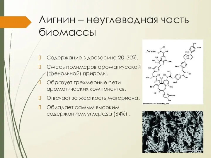 Лигнин – неуглеводная часть биомассы Содержание в древесине 20–30%. Смесь полимеров