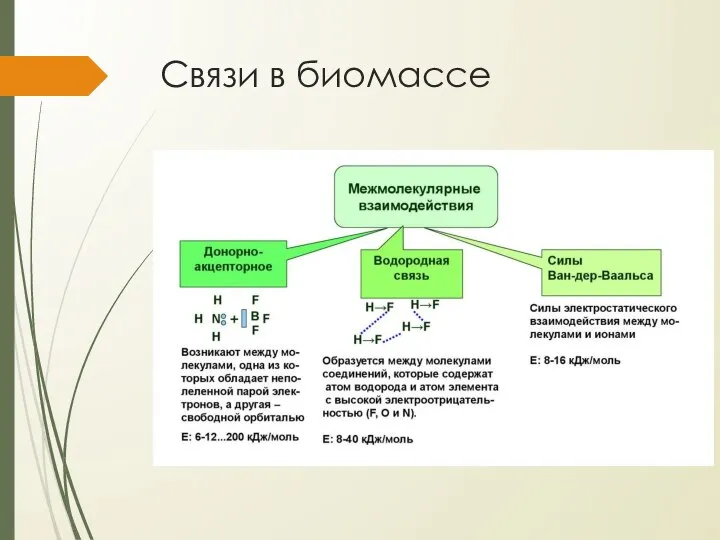 Связи в биомассе