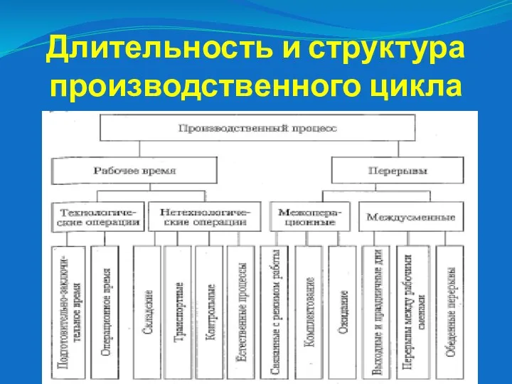 Длительность и структура производственного цикла