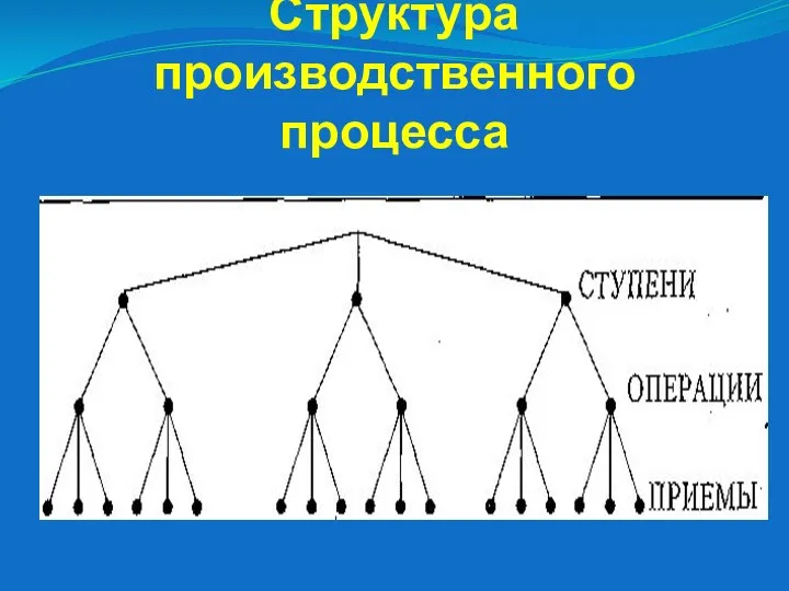 Структура производственного процесса