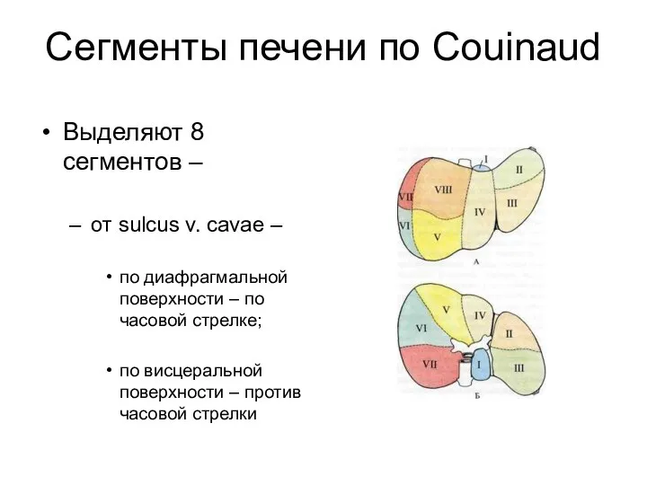 Сегменты печени по Couinaud Выделяют 8 сегментов – от sulcus v.