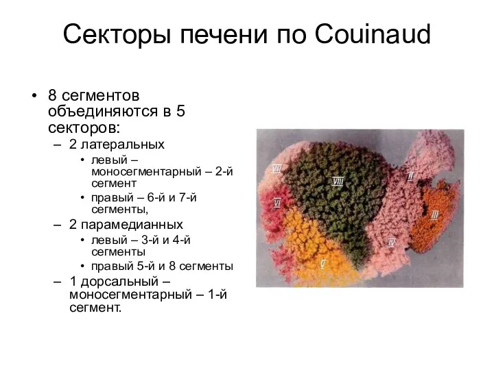 Секторы печени по Couinaud 8 сегментов объединяются в 5 секторов: 2