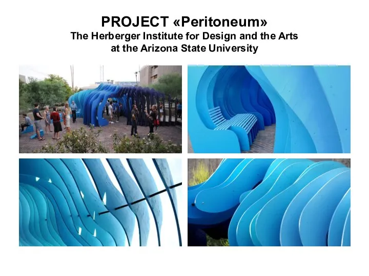 PROJECT «Peritoneum» The Herberger Institute for Design and the Arts at the Arizona State University