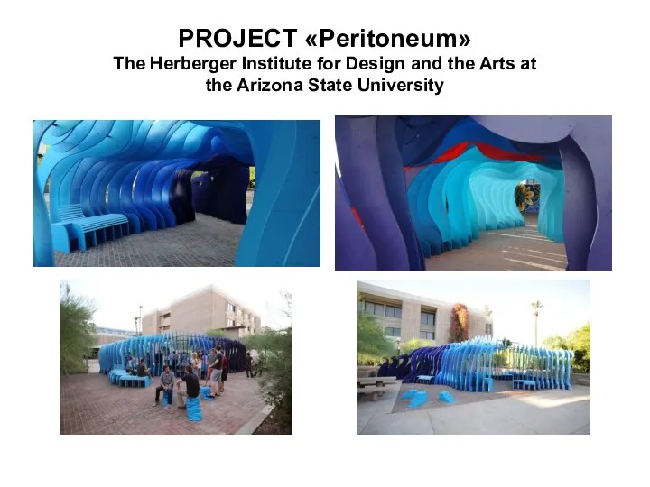 PROJECT «Peritoneum» The Herberger Institute for Design and the Arts at the Arizona State University