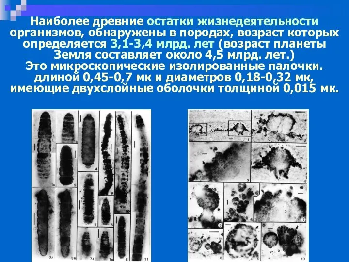 Наиболее древние остатки жизнедеятельности организмов, обнаружены в породах, возраст которых определяется