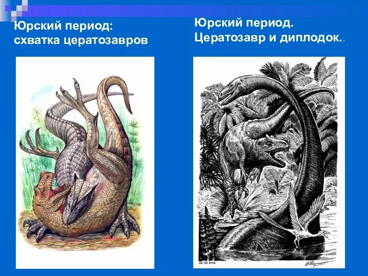 Юрский период: схватка цератозавров Юрский период. Цератозавр и диплодок..
