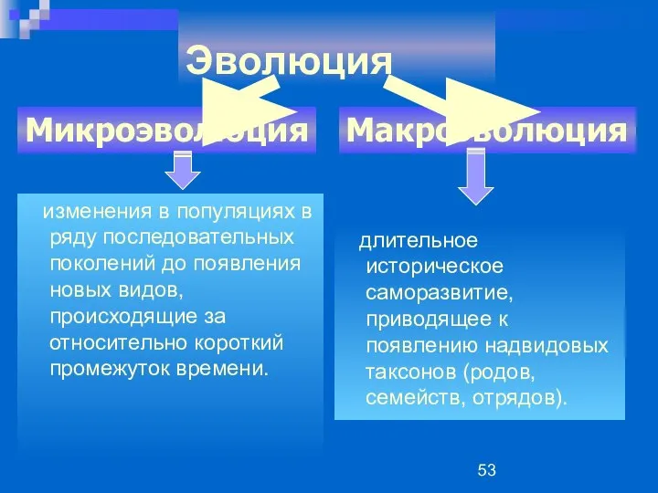 Эволюция изменения в популяциях в ряду последовательных поколений до появления новых