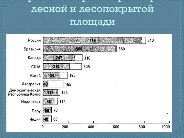 Первые 10 стран по размерам лесной и лесопокрытой площади