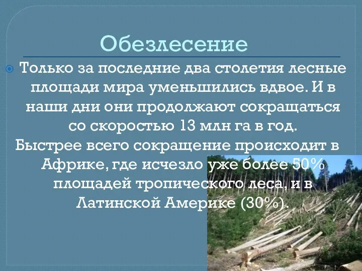 Только за последние два столетия лесные площади мира уменьшились вдвое. И