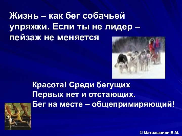 Жизнь – как бег собачьей упряжки. Если ты не лидер –