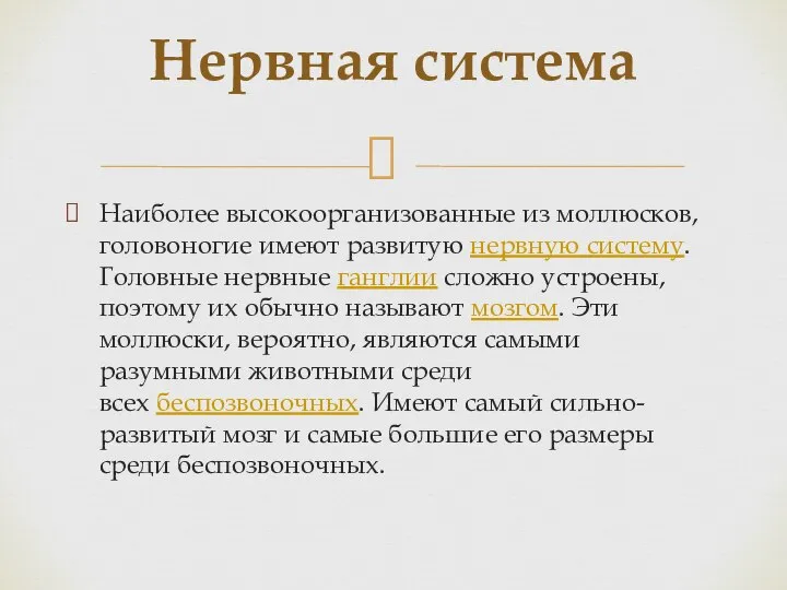 Наиболее высокоорганизованные из моллюсков, головоногие имеют развитую нервную систему. Головные нервные