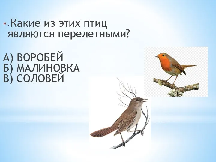 - Какие из этих птиц являются перелетными? А) ВОРОБЕЙ Б) МАЛИНОВКА В) СОЛОВЕЙ