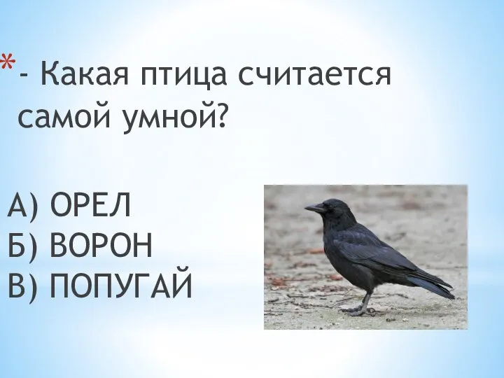 - Какая птица считается самой умной? А) ОРЕЛ Б) ВОРОН В) ПОПУГАЙ