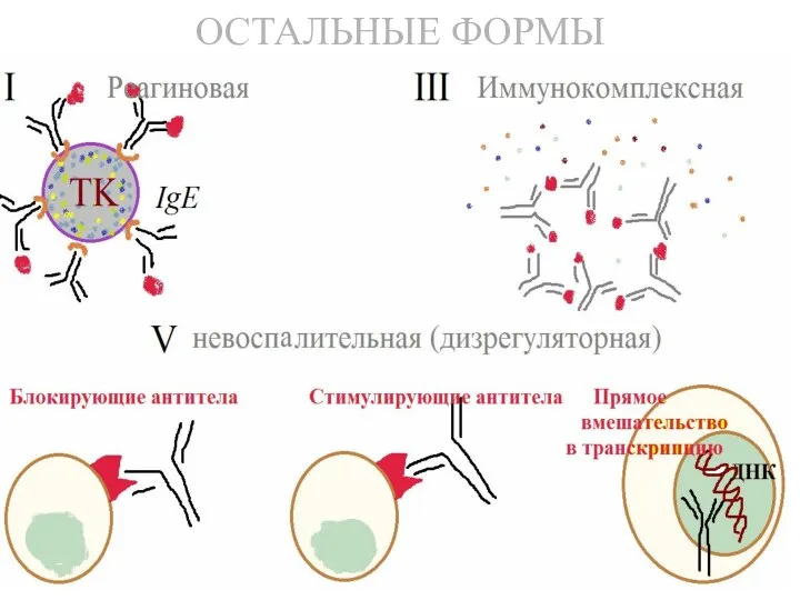 ОСТАЛЬНЫЕ ФОРМЫ