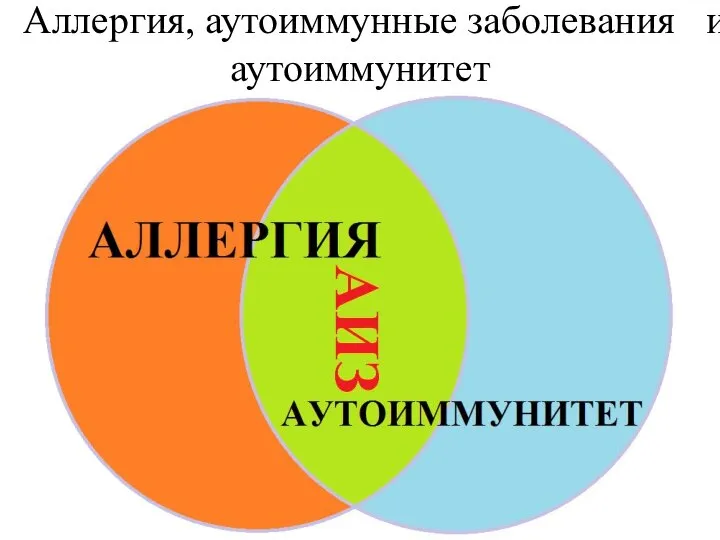 Аллергия, аутоиммунные заболевания и аутоиммунитет