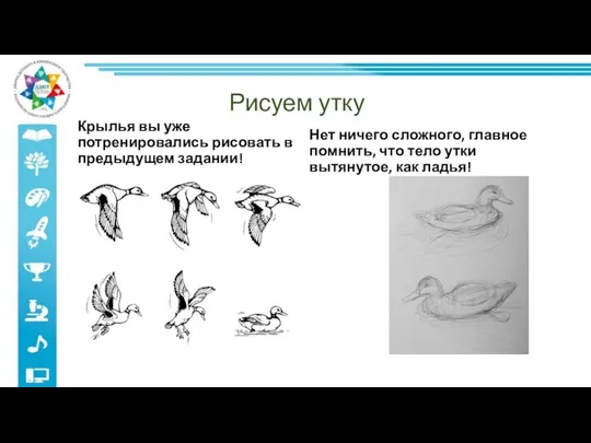 Рисуем утку Крылья вы уже потренировались рисовать в предыдущем задании! Нет