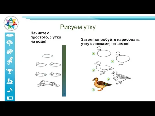 Рисуем утку Начните с простого, с утки на воде! Затем попробуйте