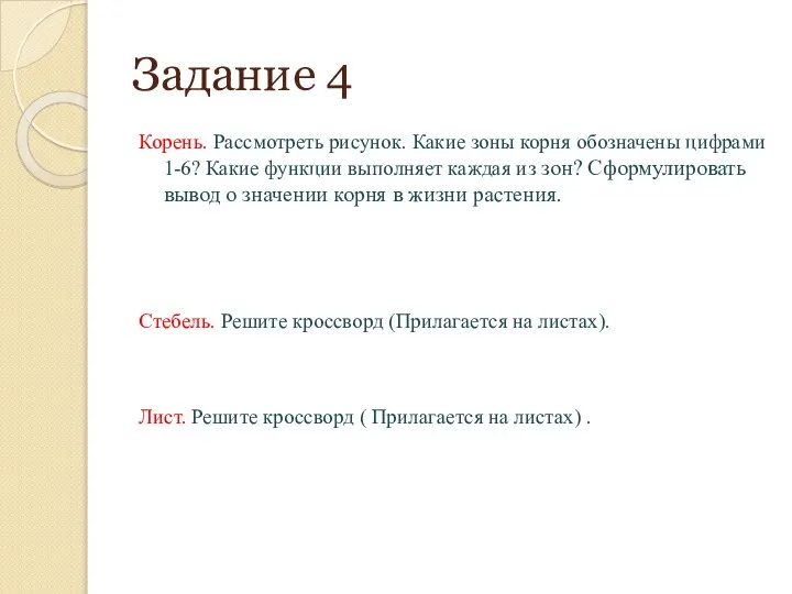 Задание 4 Корень. Рассмотреть рисунок. Какие зоны корня обозначены цифрами 1-6?