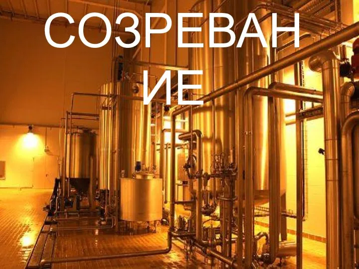 СОЗРЕВАНИЕ