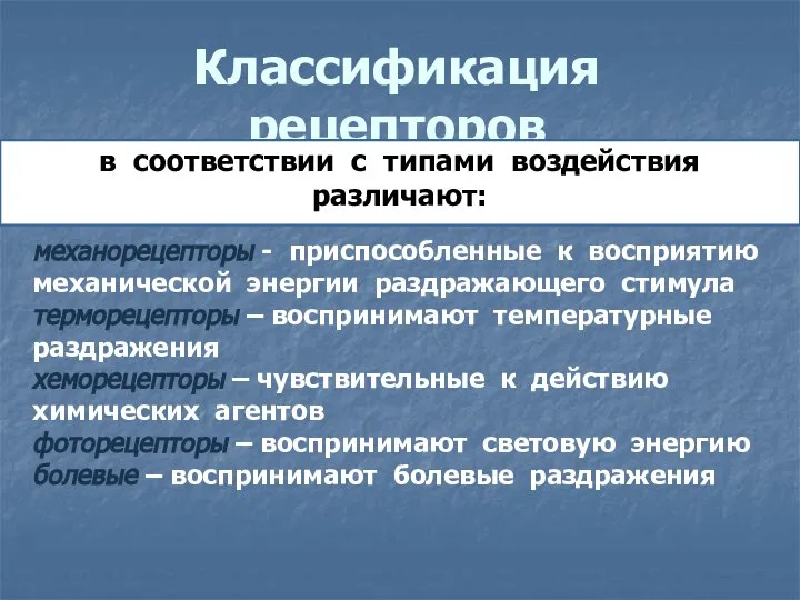 Классификация рецепторов в соответствии с типами воздействия различают: механорецепторы - приспособленные