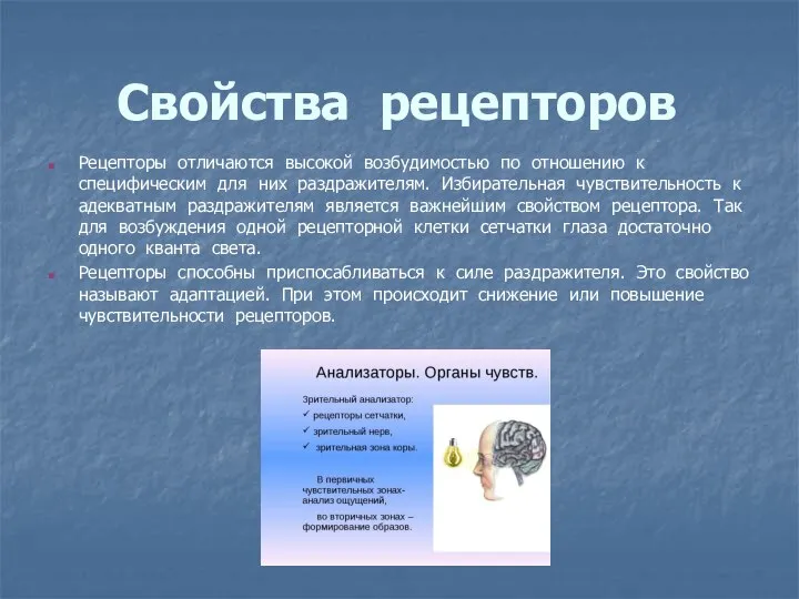 Свойства рецепторов Рецепторы отличаются высокой возбудимостью по отношению к специфическим для